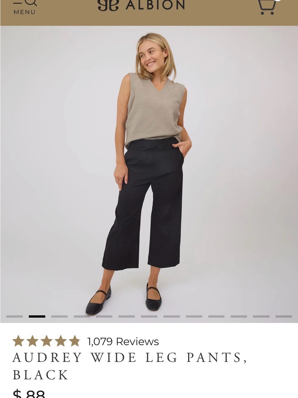 Albion Wide-Leg Crop Pants — Black